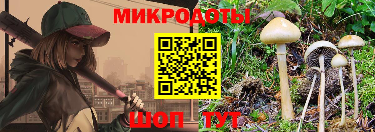 Псилоцибиновые грибы мицелий  Вход с VPN  Серов 