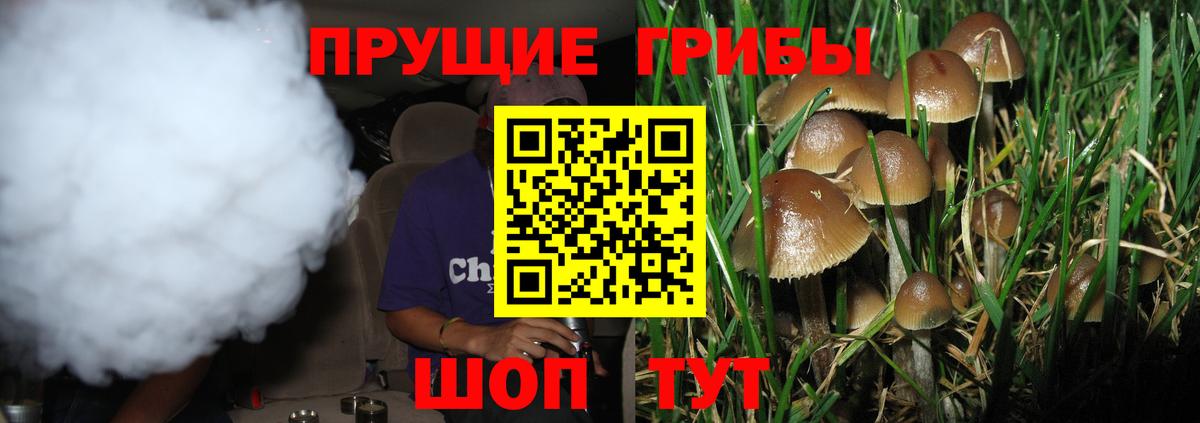 Галлюциногенные грибы Magic Shrooms Серов